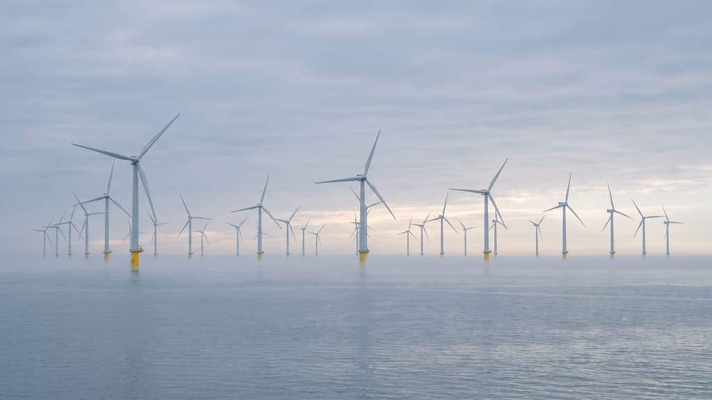 Rows of turbines standing in flat dawn light, with low haar sitting across the water.