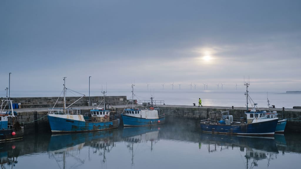 Fishing boats tied up in a small harbour at first light, with a line of turbines far out on the horizon.